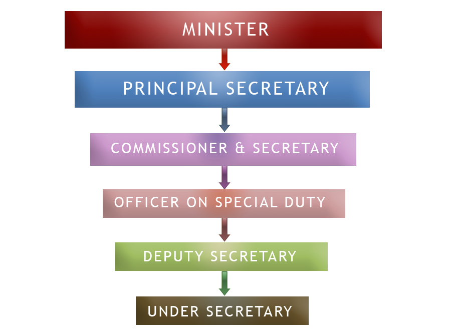 View enlarged image of the Organisational Chart